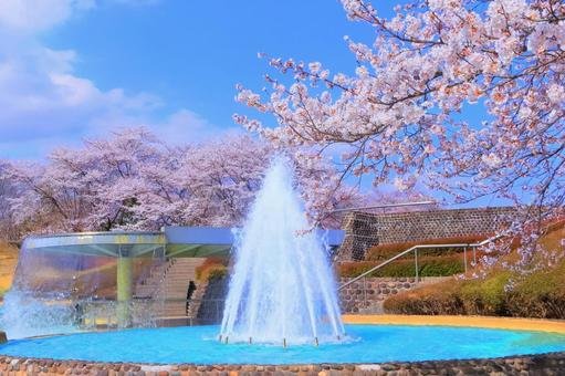 🌸 가고시마현립 요시노 공원(카고시마켄리츠 요시노코엔) 이미지 8